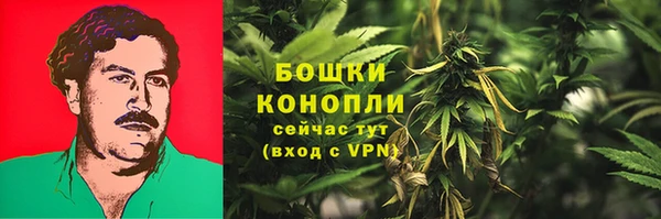 Альфа ПВП Гусев
