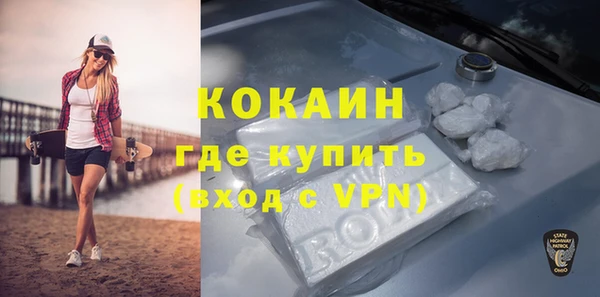 Альфа ПВП Гусев